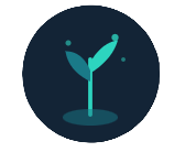 Beginner icon